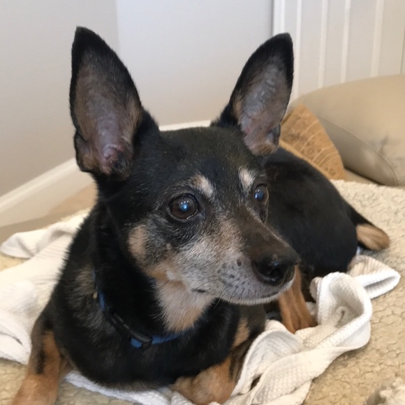 Meet your Posher, Paula - Picture 1 of 1